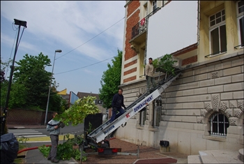 mai-preparation-108.JPG