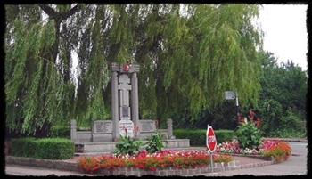 8350.jpg