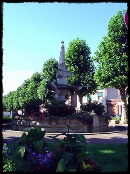 8398.jpg