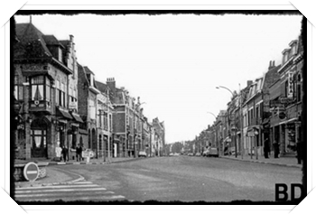 B44.jpg